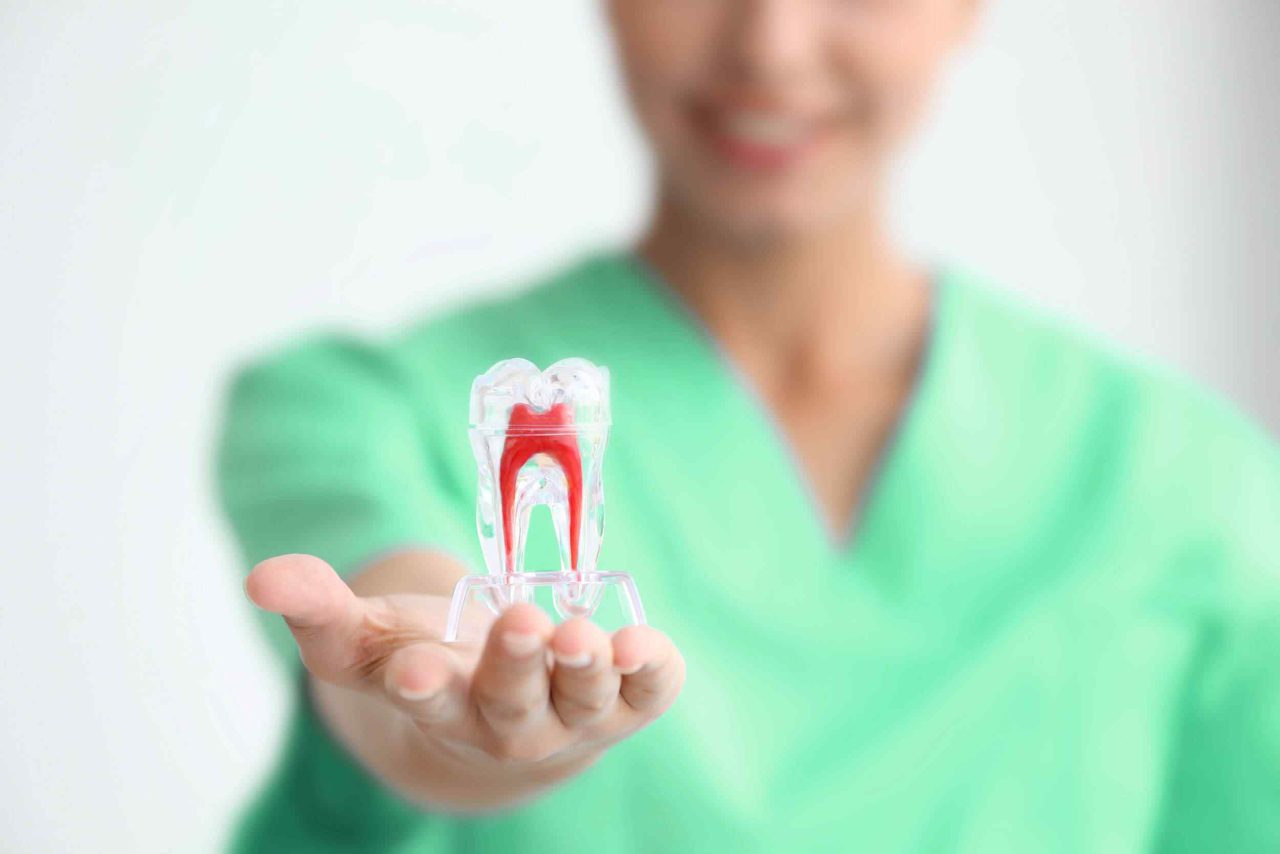 https://dentalamigos.com/wp-content/uploads/2020/01/post-14-1280x854.jpg